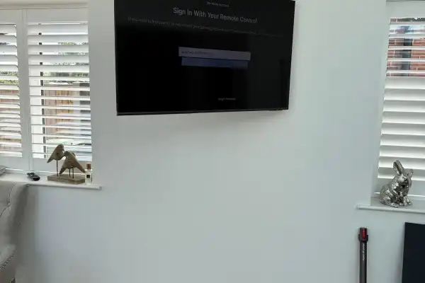 Samsung TV on Sanus Bracket — Maldon — image 5