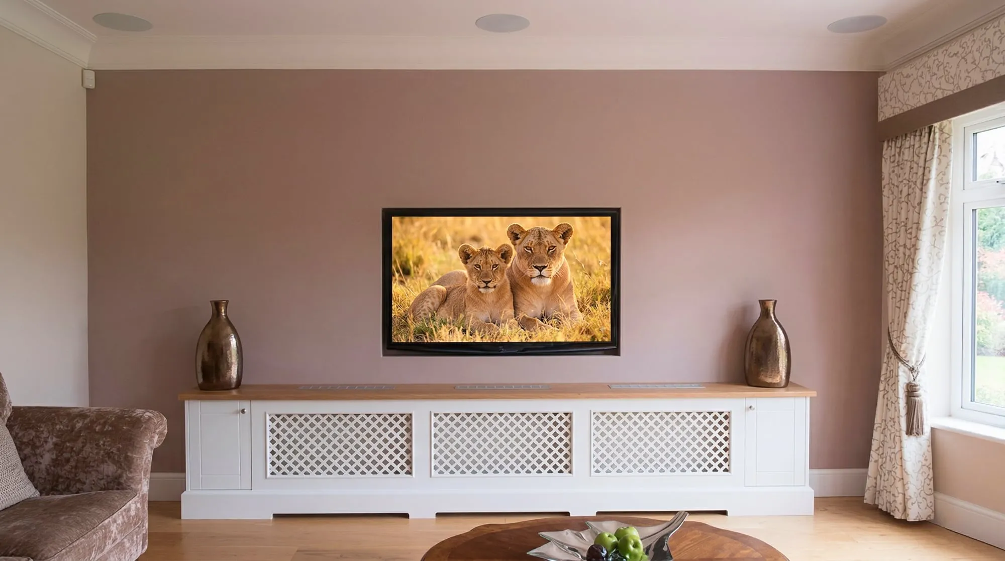 Panasonic 55 Inch Plasma — Woodford
