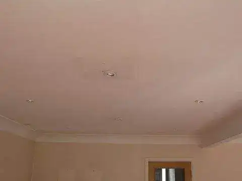 Panasonic 55 Inch Plasma — Woodford — image 22