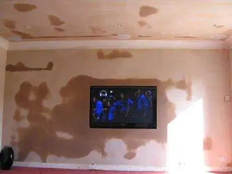 Panasonic 55 Inch Plasma — Woodford — image 6