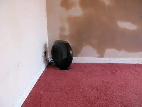 Panasonic 55 Inch Plasma — Woodford — image 4