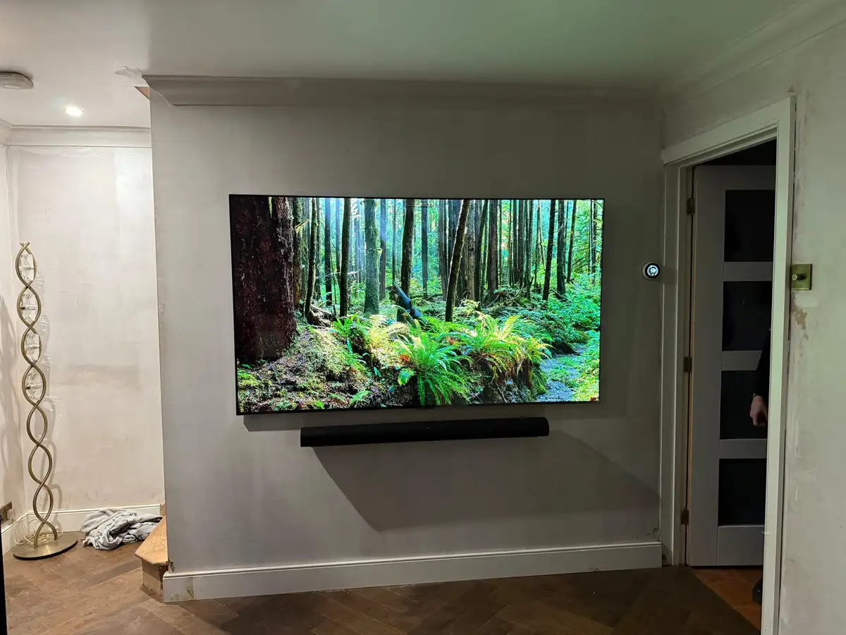 77" Wall Mount Repair — Chelmsford — image 4