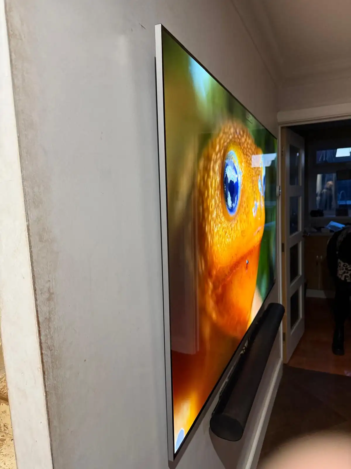 77" Wall Mount Repair — Chelmsford