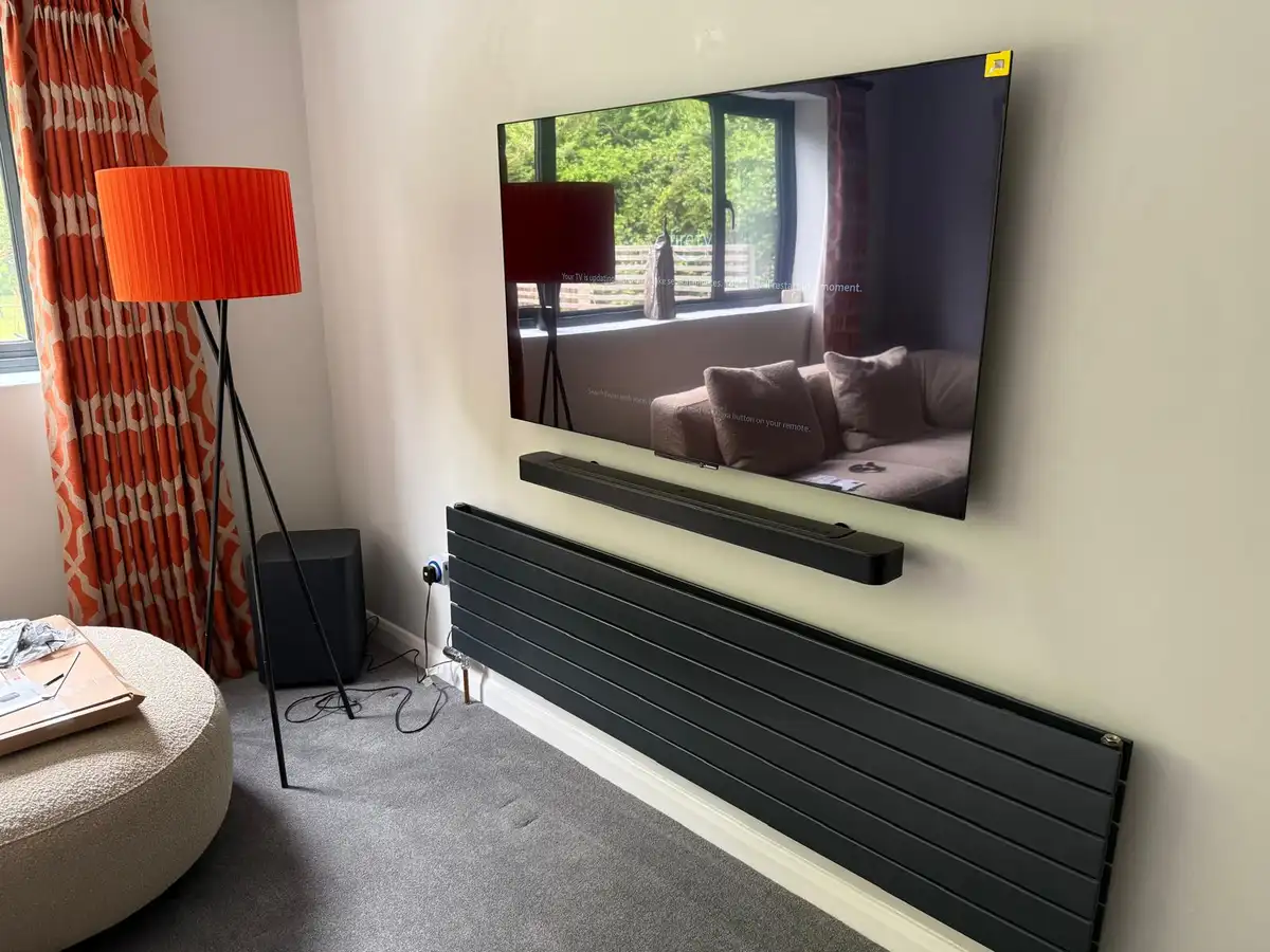 65" Panasonic with Sonos Arc — Kelvedon — image 8